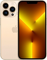 Apple iPhone 13 Pro, 512 ГБ, Золотой 2sim