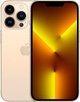 Apple iPhone 13 Pro, 1 ТБ, Золотой